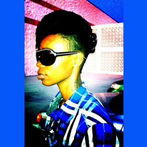 Corvida Raven In The Making