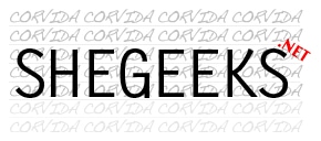 SheGeeks