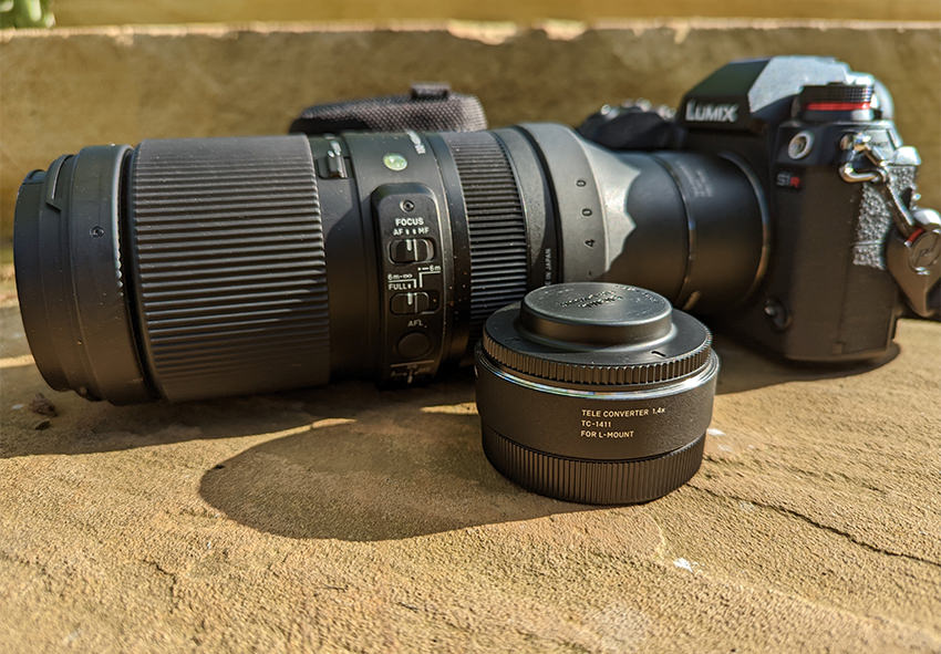 SIGMA 100-400mm F5-6.3 DG DN OS Contemporary lens for bird photography